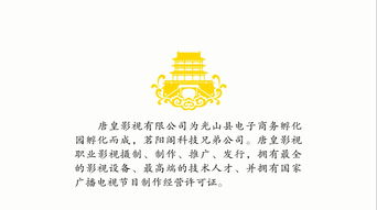 光山这个孵化园不简单 孕育职业电商影视传媒公司的创新摇篮